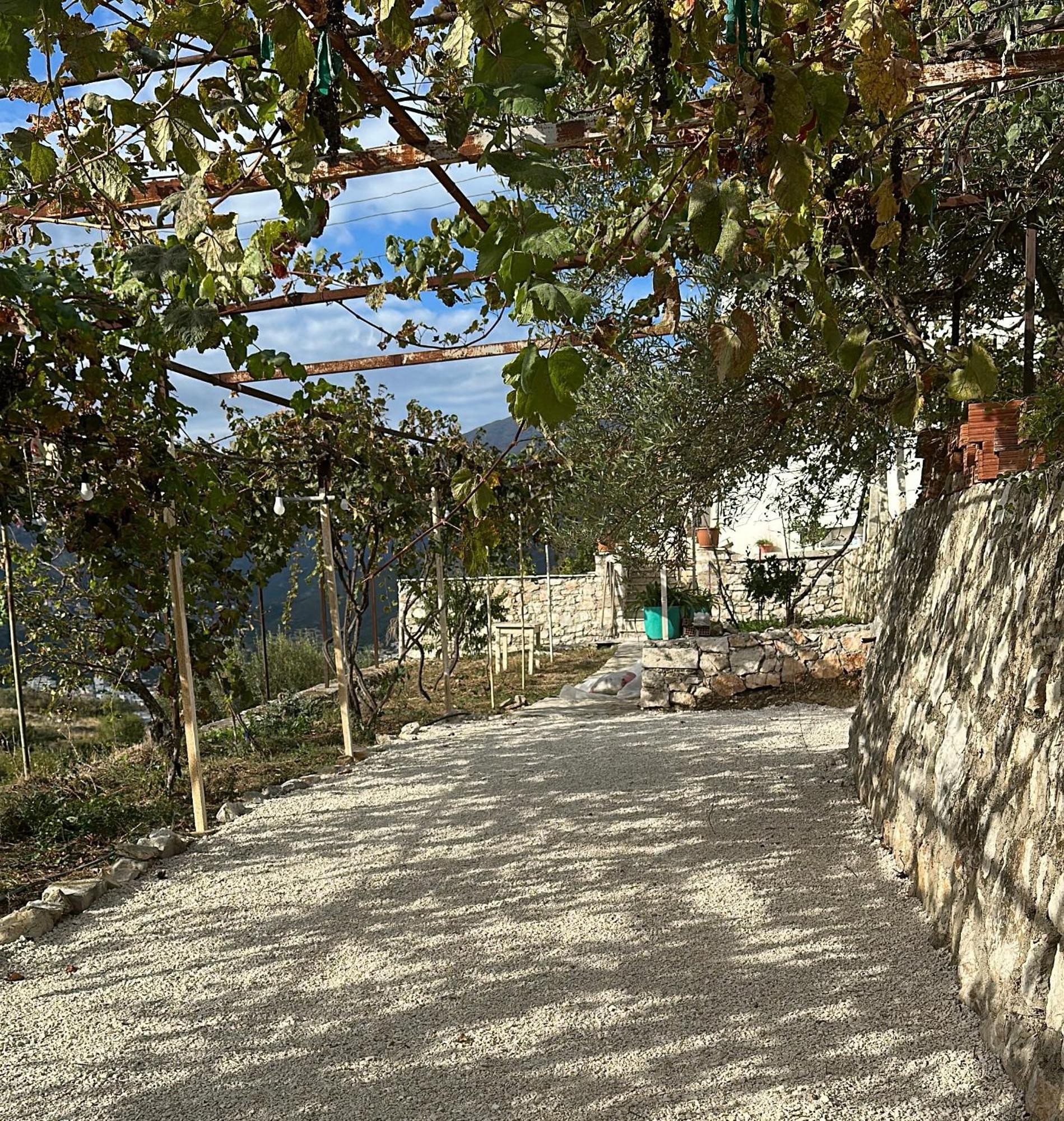 Hostel On The Hill - By Filikuri Beach Himare Exterior foto